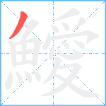 鱫笔顺分解图片1