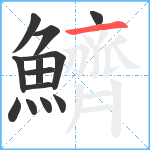 鱭笔顺分解图片13