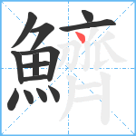 鱭笔顺分解图片14