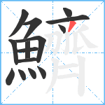 鱭笔顺分解图片15