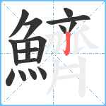 鱭笔顺分解图片16