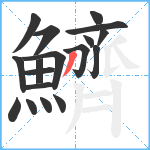 鱭笔顺分解图片18