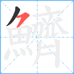 鱭笔顺分解图片2