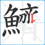 鱭笔顺分解图片20