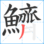 鱭笔顺分解图片22