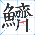 鱭笔顺分解图片24