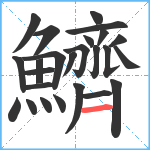 鱭笔顺分解图片25