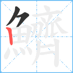 鱭笔顺分解图片3
