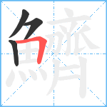 鱭笔顺分解图片4