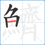 鱭笔顺分解图片5