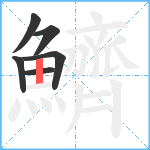 鱭笔顺分解图片6