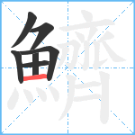 鱭笔顺分解图片7