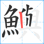 鱮笔顺分解图片16