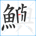 鱮笔顺分解图片17