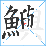 鱮笔顺分解图片18