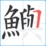 鱮笔顺分解图片19