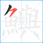 鱮笔顺分解图片2