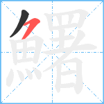 鱰笔顺分解图片2