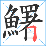 鱰笔顺分解图片22