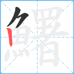 鱰笔顺分解图片3