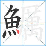 鱱笔顺分解图片11