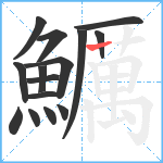 鱱笔顺分解图片15