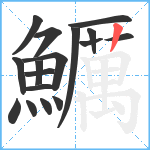 鱱笔顺分解图片17