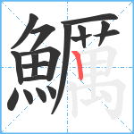 鱱笔顺分解图片18