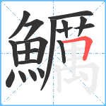 鱱笔顺分解图片19