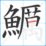 鱱笔顺分解图片20