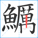 鱱笔顺分解图片24