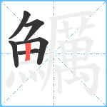 鱱笔顺分解图片6