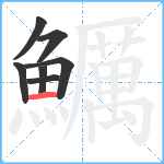 鱱笔顺分解图片7