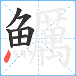 鱱笔顺分解图片8