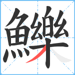 鱳笔顺分解图片25