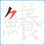 鱶笔顺分解图片2