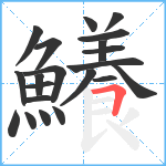 鱶笔顺分解图片21