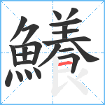 鱶笔顺分解图片22