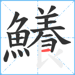 鱶笔顺分解图片23