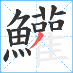 鱹笔顺分解图片22