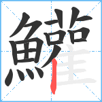 鱹笔顺分解图片23