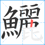 鱺笔顺分解图片25