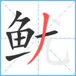 鱿笔顺分解图片10