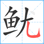 鱿笔顺分解图片11