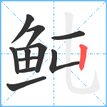 鲀笔顺分解图片11