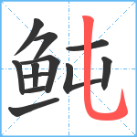 鲀笔顺分解图片12