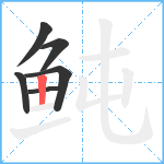 鲀笔顺分解图片6