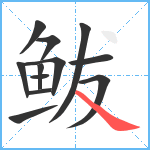 鲅笔顺分解图片12