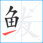 鲅笔顺分解图片8