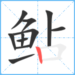 鲇笔顺分解图片11